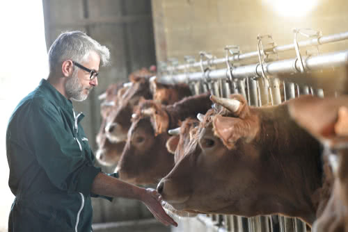 A farmer uses a loan on agricultural land to help run his cattle ranch 