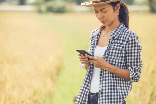 Female farmer uses agriculture apps to manage her farm 