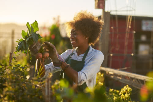 A farmer figures out how to process small business sales tax.